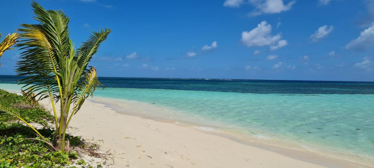 Gite Kaz A Topaze, Piscine, Jardin Tropical ซานต์-โรส ภายนอก รูปภาพ