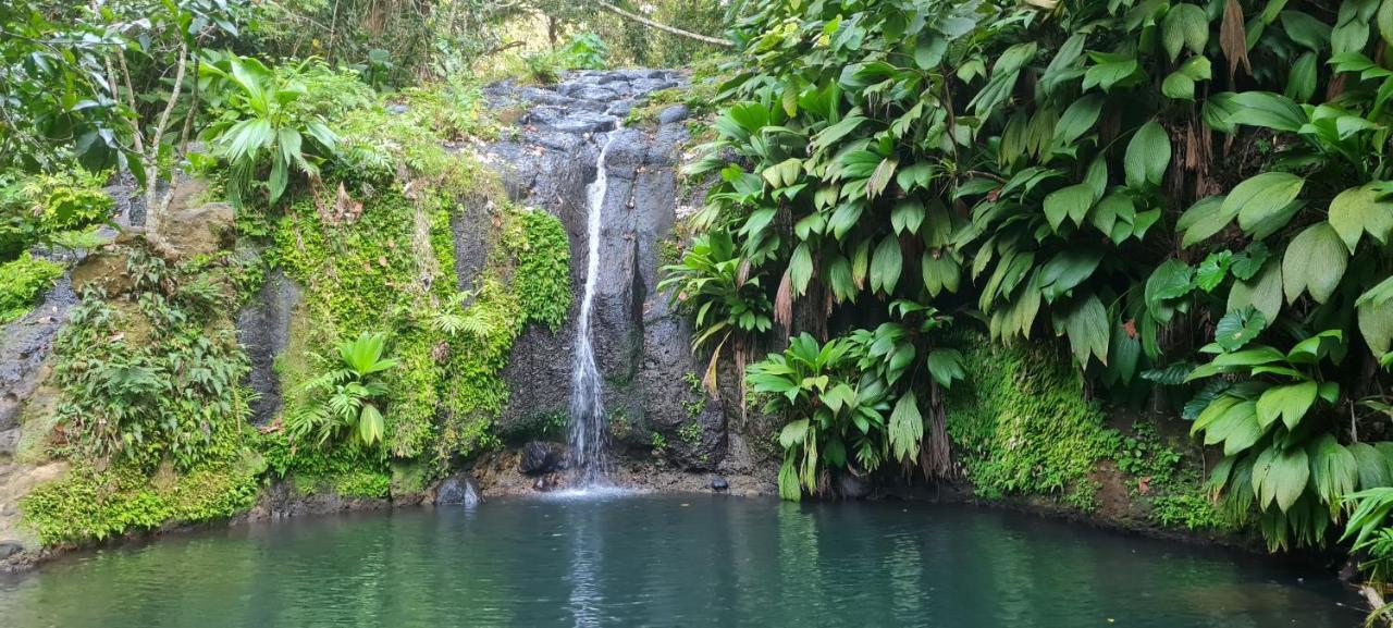 Gite Kaz A Topaze, Piscine, Jardin Tropical ซานต์-โรส ภายนอก รูปภาพ