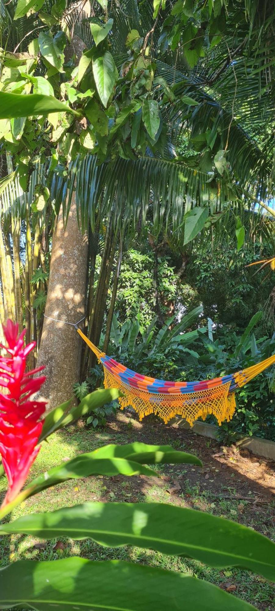 Gite Kaz A Topaze, Piscine, Jardin Tropical ซานต์-โรส ภายนอก รูปภาพ